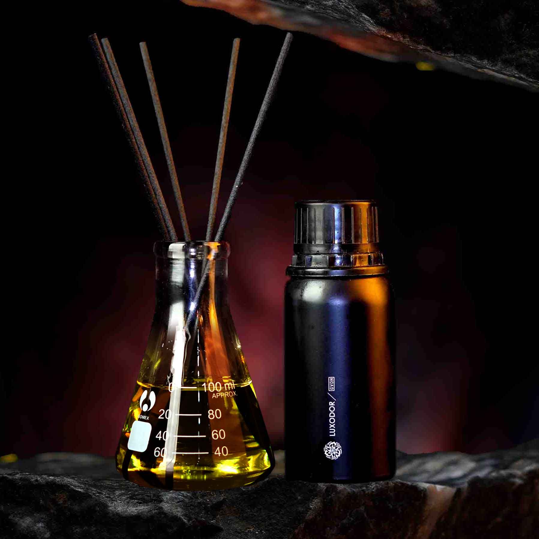 Біздің Зоологтың түйесін жасауымыз